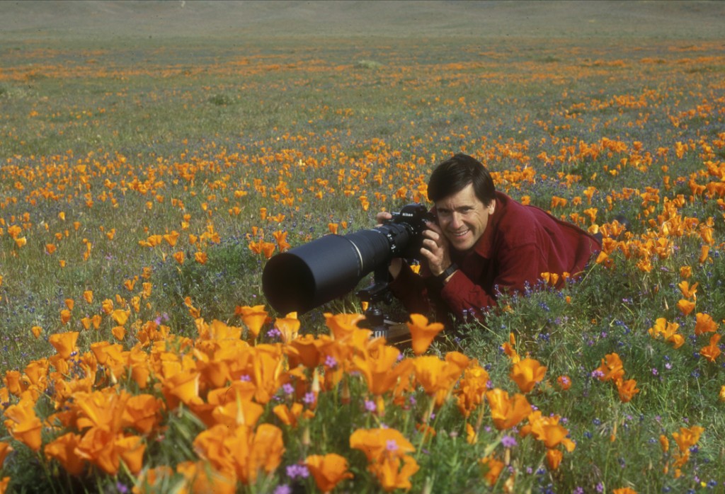 jeff in poppies