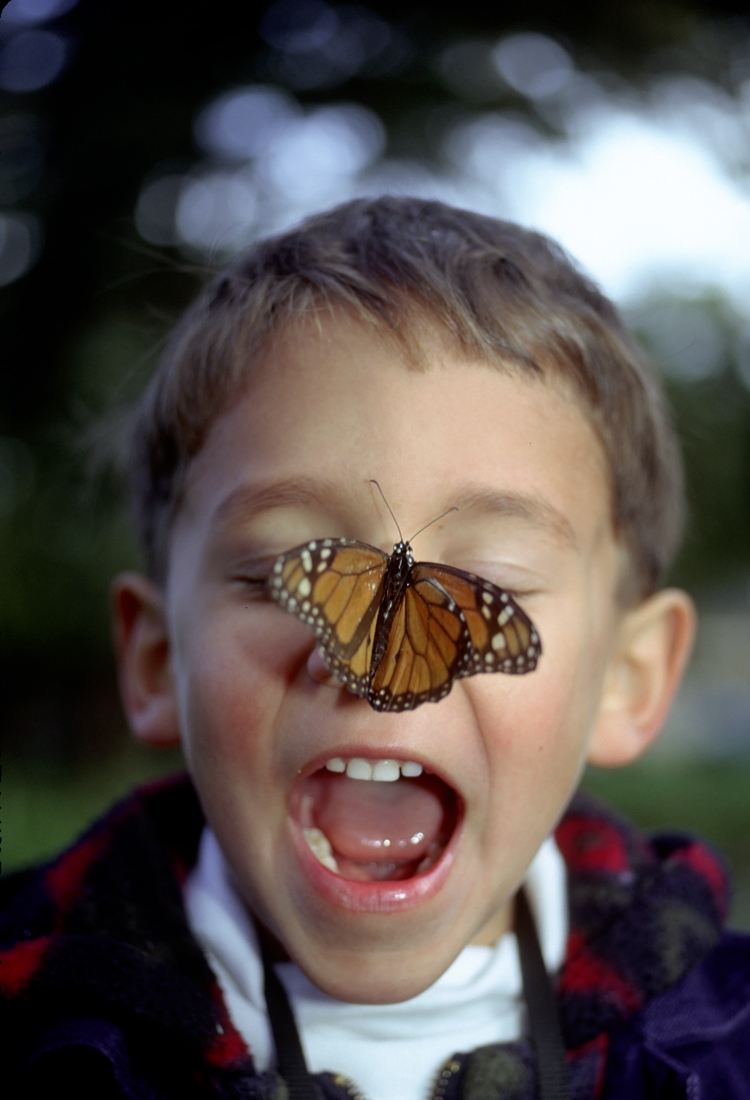 Child with monarch butterfly on nose