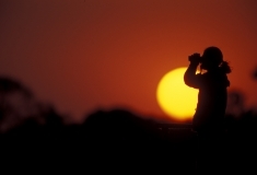 Birder at sunset or sunrise