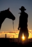 Cowboy with horse at sunset